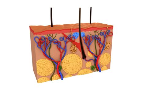 Skin Conductance Training | Biofeedback solutions - NeuroLOGX BV - MINDMEDIA