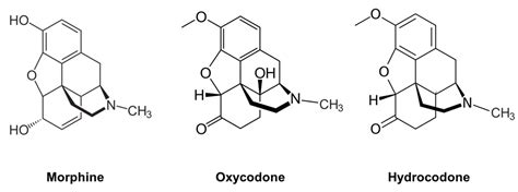 Chemical Makeup Of Morphine - Mugeek Vidalondon