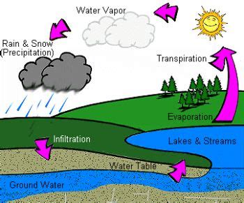 Groundwater pollution - Definition and causes | Pollution articles