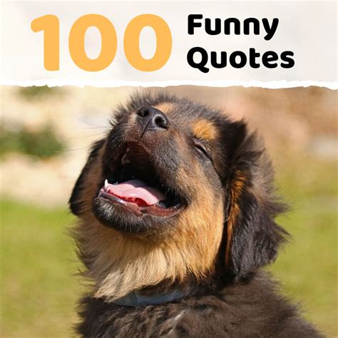 Funny Why Quotes at Timothy Pearson blog