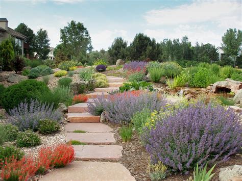 The Beginner’s Guide to Xeriscaping in Denver | Xeriscape landscaping, Xeriscape front yard ...