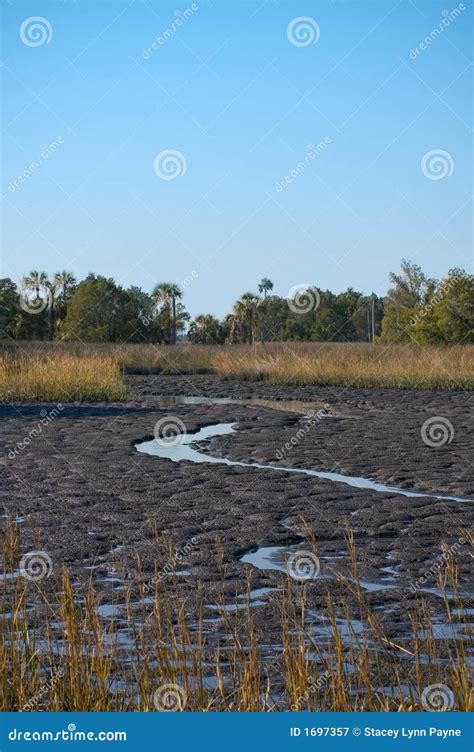 Mud Flats stock image. Image of mexico, swamp, estuary - 1697357