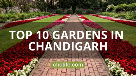 Top 10 Beautiful Gardens in Chandigarh to Visit in 2023- Chdlife