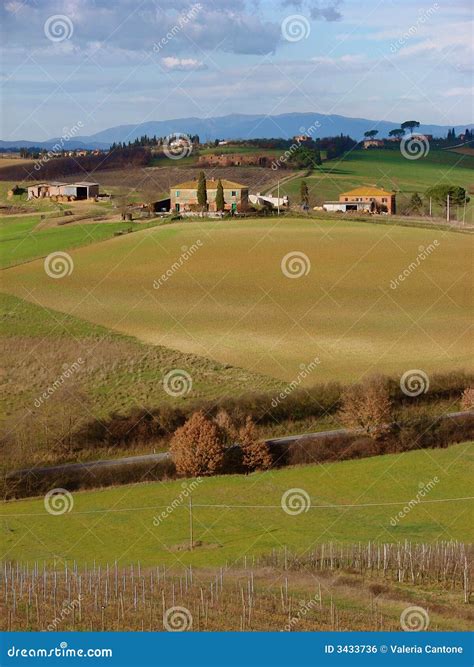 Italian Landscape in Tuscany Stock Photo - Image of cypress, fileds: 3433736