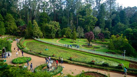 100+ most beautiful images in Ooty, Tamil Nadu, India