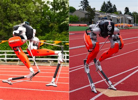 Cassie, Oregon State's Bipedal Robot, Sets New World Record in 100-Meters - TechEBlog