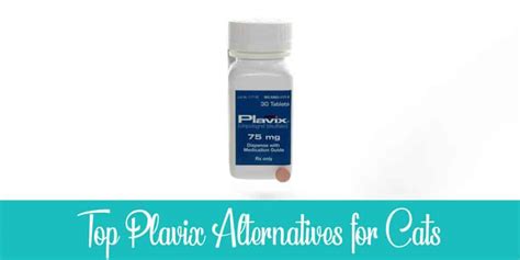 Alternatives to Plavix for Cats (Clopidogrel) - 7 Options