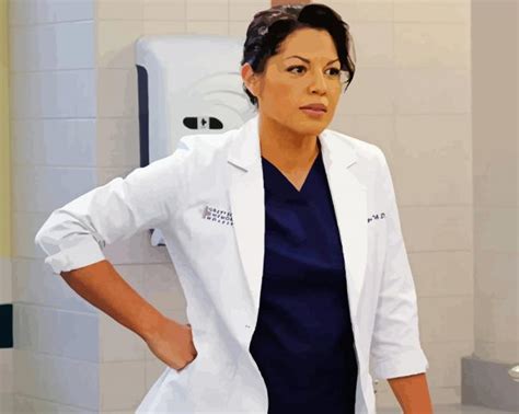 Sara Ramirez Grey's Anatomy- Paint By Numbers - Painting By Numbers