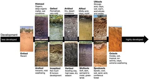 Properties Of The Soil