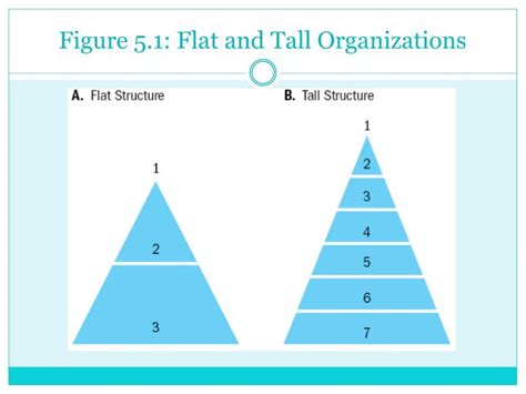 Tall Hierarchy Structure