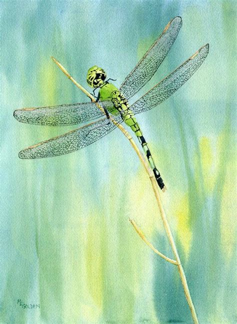 Pin by IL MONDO DI DONNA on FARFALLE,DRAGONFLY... | Dragonfly painting ...