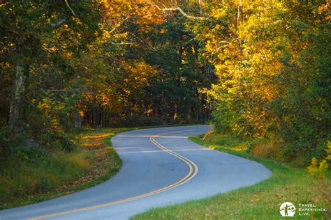 Driving the Blue Ridge Parkway in Fall, Virginia - Travel. Experience. Live.