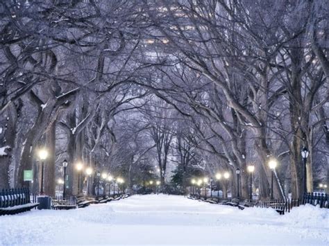 Central Park in Winter Guide | The Best Central Park Snow Day Spots