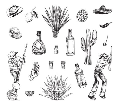 Tequila Production Illustrations in Art Ink Style 10561301 Vector Art ...