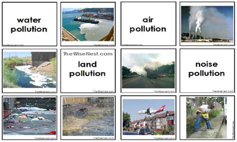 Pollution Cards - The Wise Nest