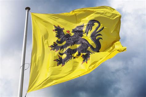 Flag of Flanders stock image. Image of flanders, belgium - 25565243