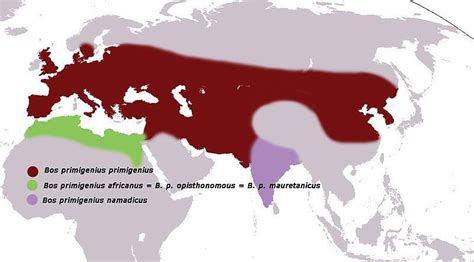 Visualizing Climate and Loss: Extinction