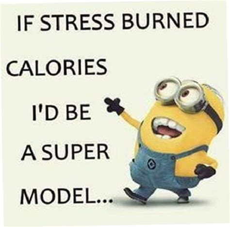 30 funniest minion memes every Facebook mom will be obsessed with - Legit.ng