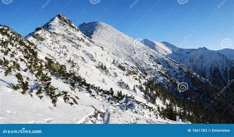 Carpathian Mountains in Winter Stock Image - Image of abrupt, mountains ...