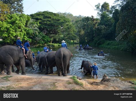 Chiang Mai, Thailand Image & Photo (Free Trial) | Bigstock