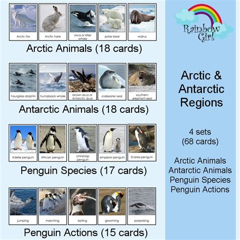 Polar Animals / Arctic Animals / Antarctic Animals / Penguins / Flash Cards / Montessori Cards ...