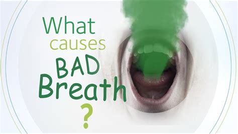 Home Remedies To Get Rid Of Halitosis | InFeed – Facts That Impact