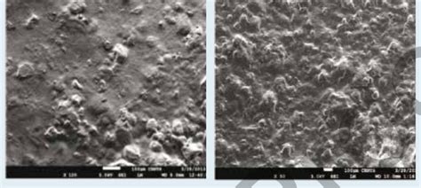 Scanning electron microscopy (SEM) of Hydrogel (a) without curcumin (b)... | Download Scientific ...