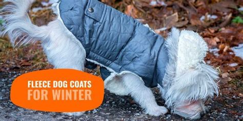 Top 5 Best Fleece Dog Coats for Winter — Breeding Business