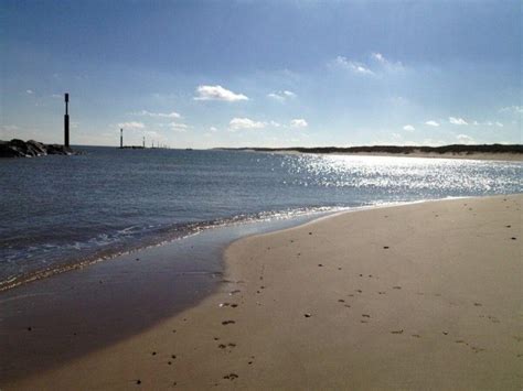 Dog walk at Sea Palling Beach · Norfolk · Walkiees