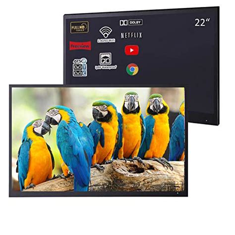 The Best 22 Inch Smart Tv For 2024