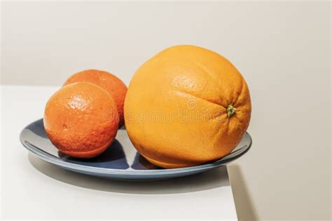 Some Pieces of Citrus Fruits on a Blue Porcelain Plate Stock Image ...