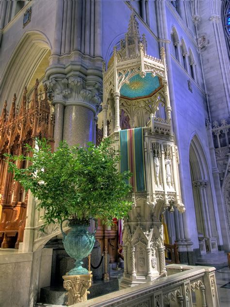 Cathedral Basilica of the Sacred Heart 06 | Interior views o… | Flickr