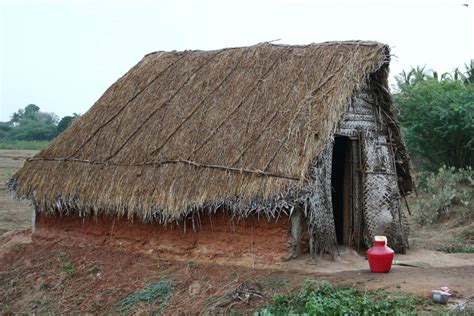 Free Old hut in village, chennai, Vengal Stock Photo - FreeImages.com