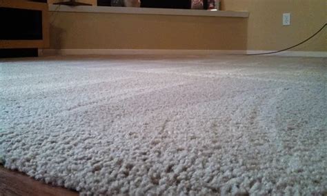 How To Remove Mold From Carpet | HowToRemoveBlackMold.com