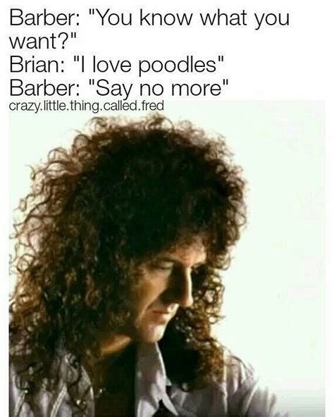 QUEEN MEMES - Brian May | Queen humor, Brian may, Queen meme