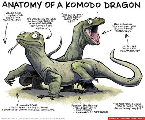 Anatomy of a Komodo Dragon : r/funny