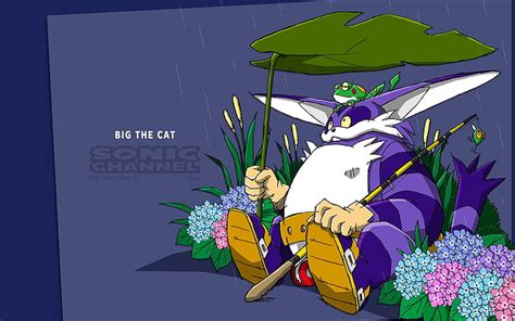 Online crop | HD wallpaper: Sonic, Sonic Adventure, Big The Cat ...