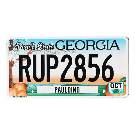 2022 Georgia #RUP2856 | Awesome Old License Plates