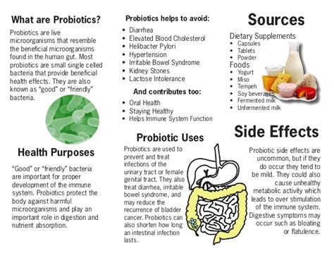 Probiotic Supplements To Boost Kidney Functions | Timeslifestyle