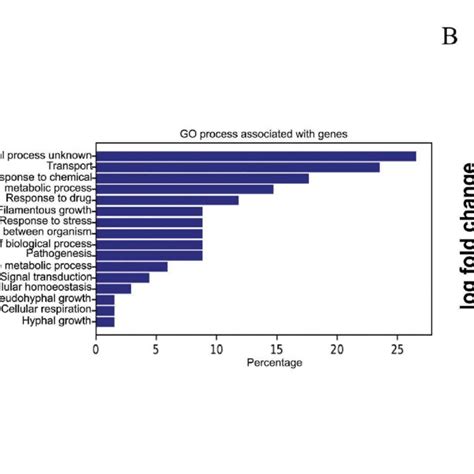 RNA sequencing and data analysis. (a) Global gene expression analysis ...