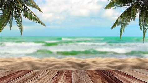 Tropical Video Background - No Ads - YouTube