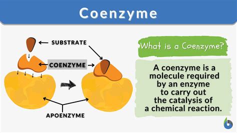 Catalyst Example In Everyday Life