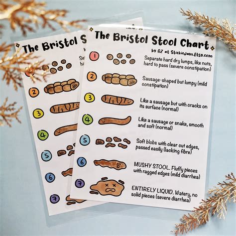 Printable Bristol Stool Chart - Customize and Print