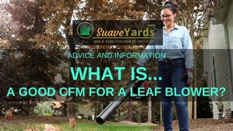 What Is a Good CFM for a Leaf Blower? (Revealed)