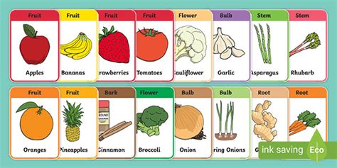 Plant Parts We Eat Flashcards