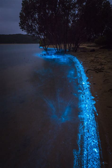 Bioluminescence Photography Tips | Canon Australia