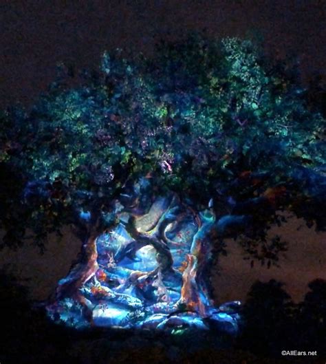 Tree of Life - Disney's Animal Kingdom - AllEars.Net