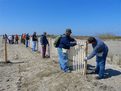 Building fences to help prevent coastal erosion on Grand Terre Island. Erosion, 5th Grades ...