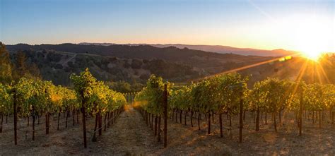 The 10 Most Beautiful Wineries in Napa Valley - NapaValley.com