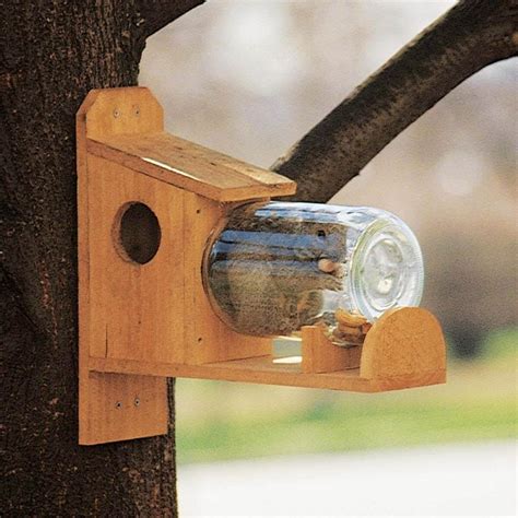 How to Make a Squirrel Feeder (DIY) | Family Handyman